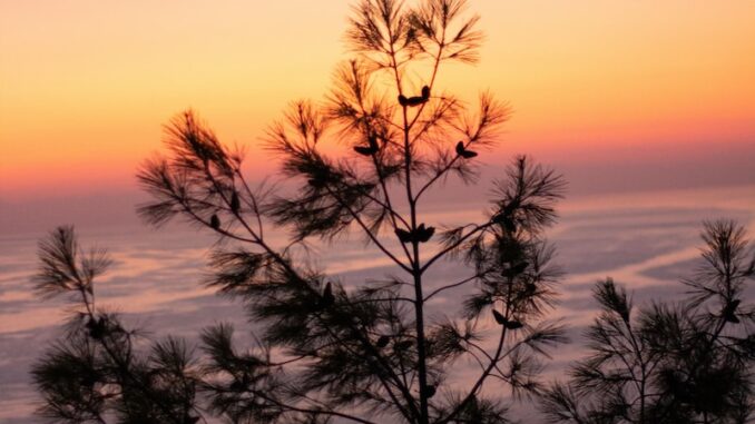 uploaded-image-pelitli-kalesi-tarihi-ve-arkeolojik-kesifler-1697543653549
